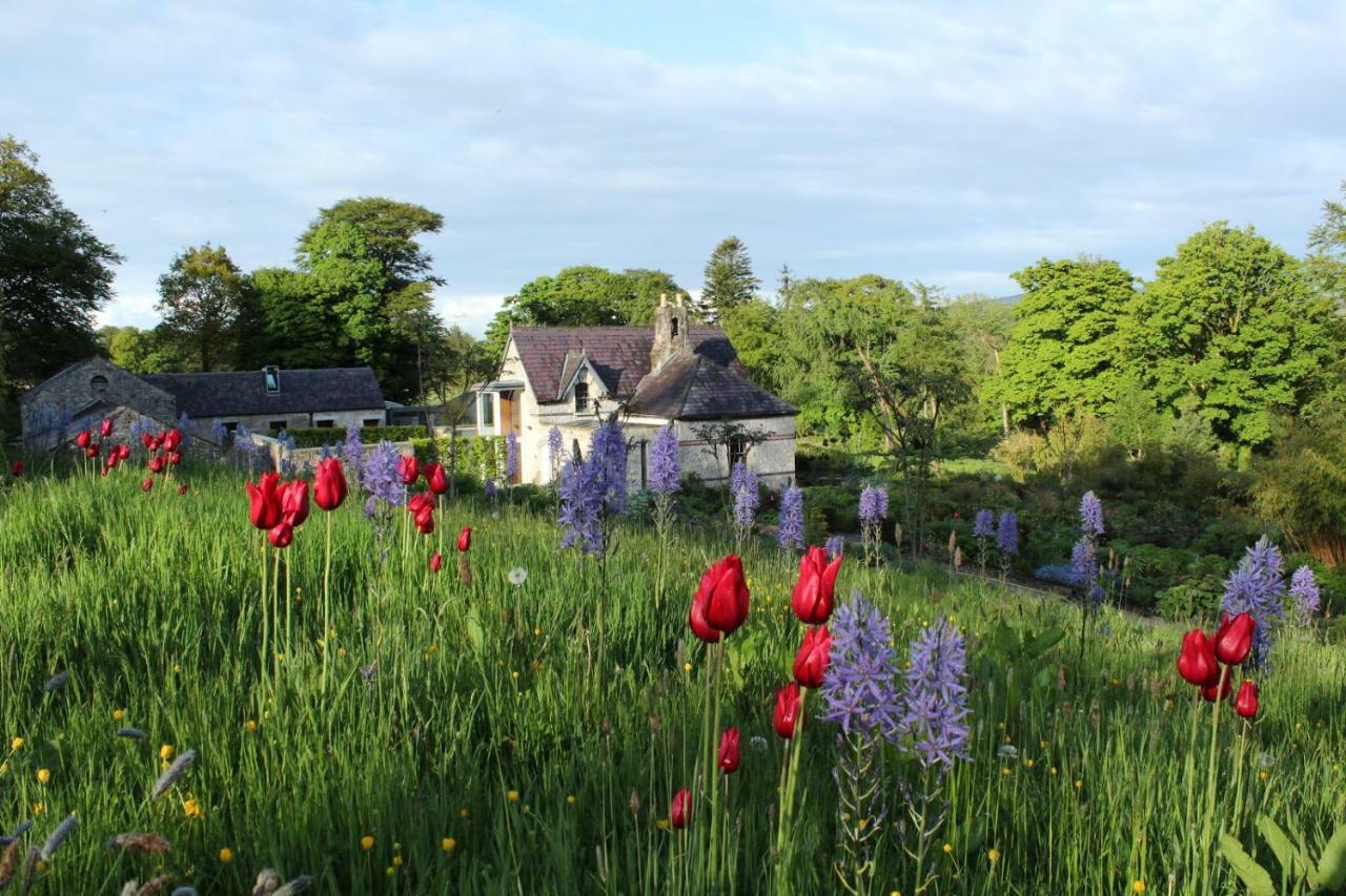 June Blake'S Garden Blessington Exterior foto